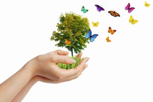 Mains arbre papillons - concept d'eco