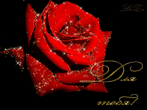 HL fe981782bdb387cec7ca5f1b2448f9f1