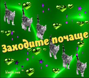 dnev_47