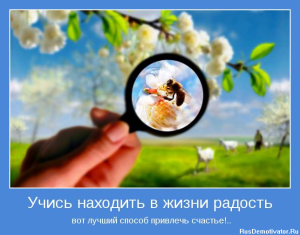находи радость